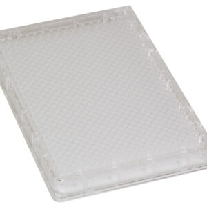 384 Round Well, Clear, Low Volume, Solid - Aurora