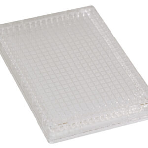 384 Square Well, Clear, Low Base, Evap Barrier, Solid Bottom - Aurora