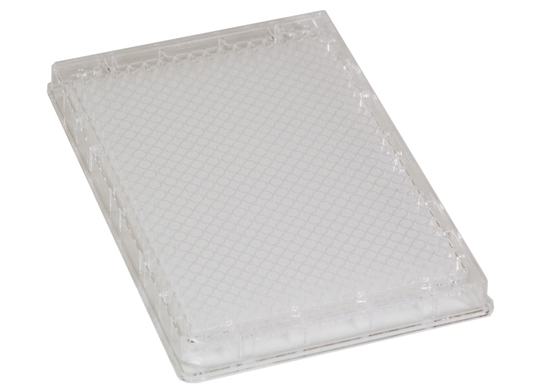 384 Round Well IQ LV - Clear - Solid - Aurora