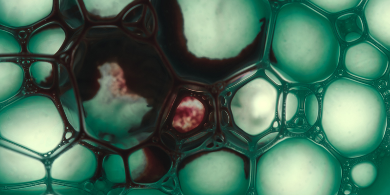 Timothy P. Spicer, Ph.D.